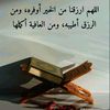 user8486369618319