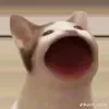 lyhoang90