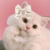 niiiichan26_