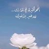 user266887170117