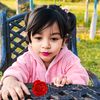 aysha12378