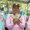 hadi.iswanto39