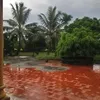 minh.huy5971