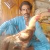 nazeer.ahmad023
