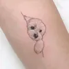 abc.com.sh1