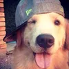su_ivy110