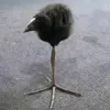 mkskader