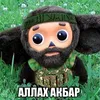 allaxvelik33