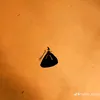 rice_aaroach