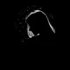 slk_ea_mel02