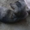 73725684user161514