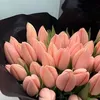 abbygaile.paras