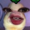 znahlm