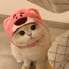 linhbong10101