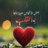salman71241