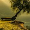 ayse.polat573