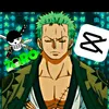 .zoro89110