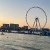 yoshi.s_10dxb