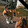 ali.yaman754