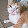 tickletipson.refo