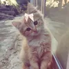 djruvnpvl3