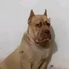 melanciaazul56