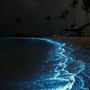 noormohamed_00