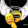 holasad6