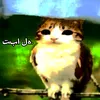 pashtetetk