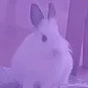 .mitsythebunny