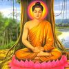 arjun.tamang676
