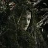 _arytia