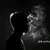 hss_133