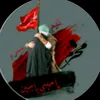 s2_x313.sadk