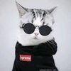 user1836087129045