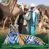 user5210361800850