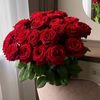 hseyinyksel77