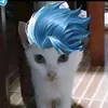 letuzawafans5