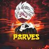 .ffparvesyt