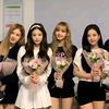 blinksinan