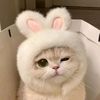 sweety