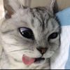 rasya_1901