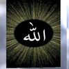 user169908