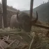 sngminh33