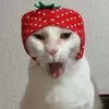 xb_ambie