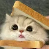 ki_ntama2