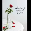 aoy.aoy124