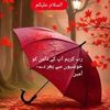 user468258350