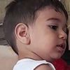 mohammadreza.shol