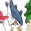 taesanshark
